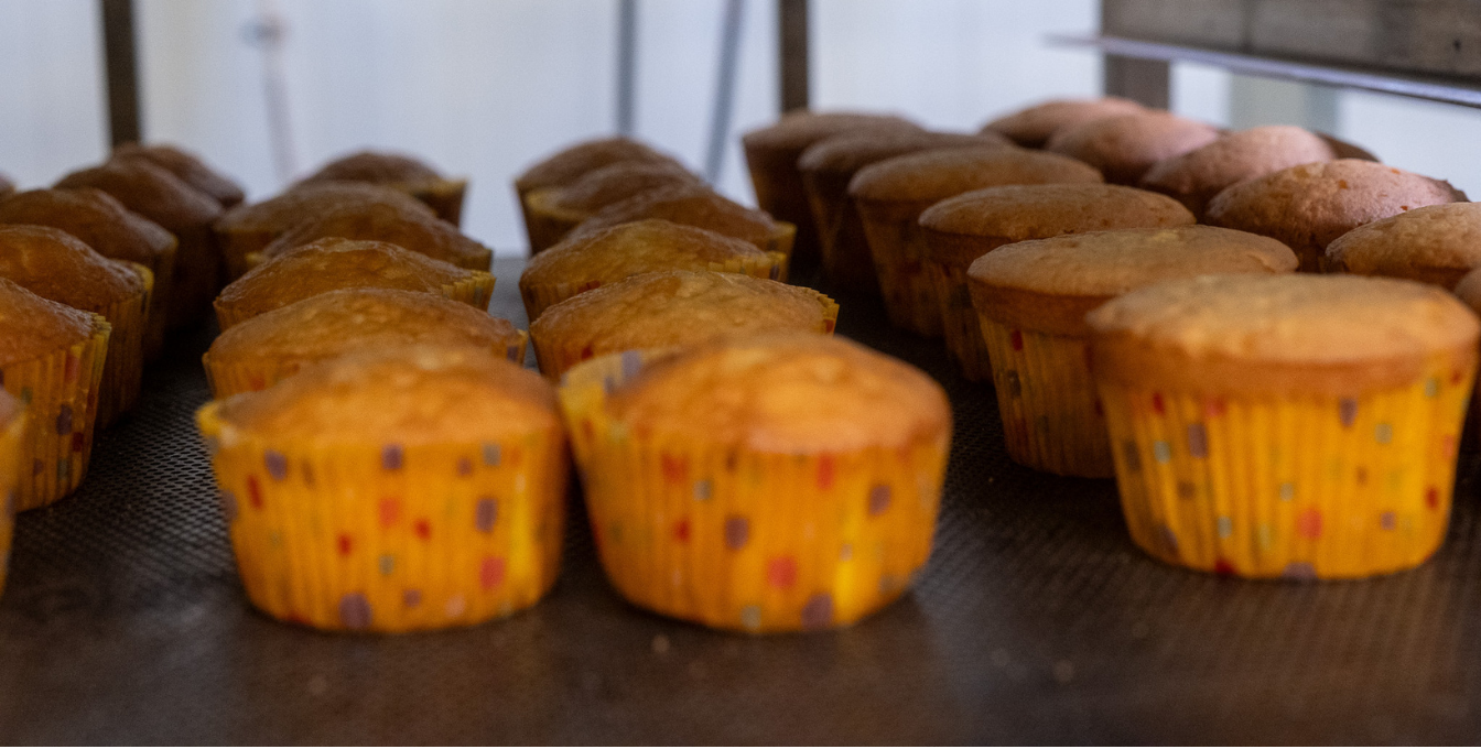 Calorie reduction in biscuits | Bakery Academy